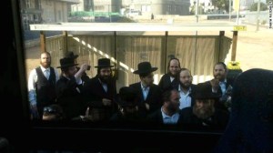 tanya, bus haredi