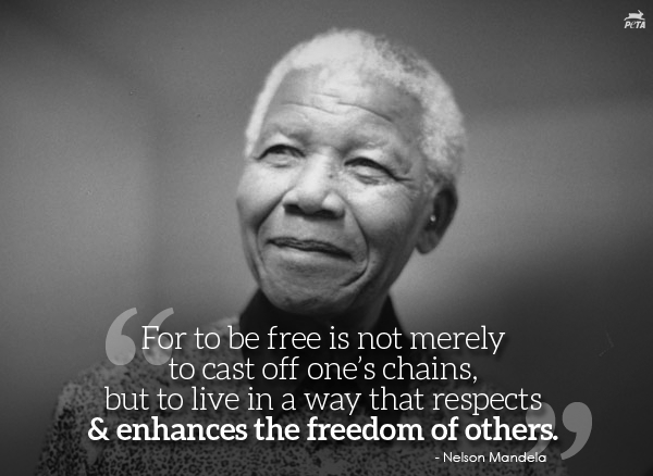 Nelson-Mandela-Quote