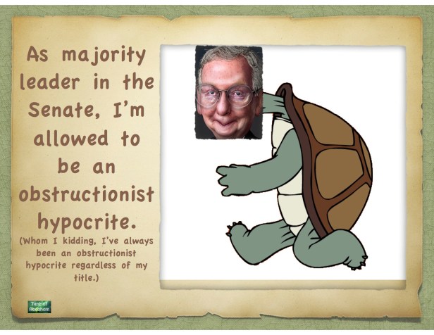 Mcconnel tortise.key